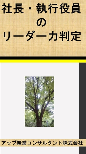 社長・執行役員のリーダー力判定